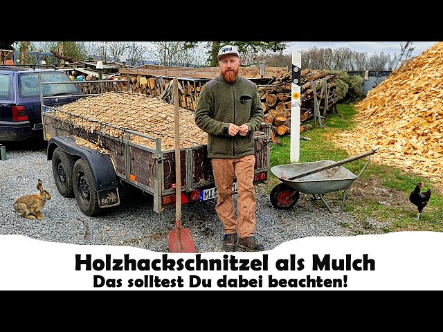 Holz Hackschnitzel als Mulch fr Wege und Beete das ist zu beachten -  YouTube