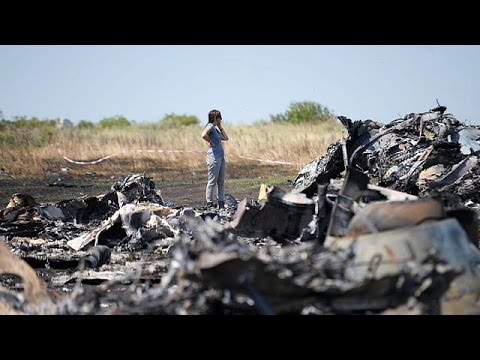 Putin zu MH17-Abschuss: Wir wollen auch ermitteln