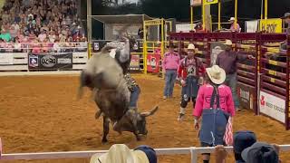 Bull 8 seconds