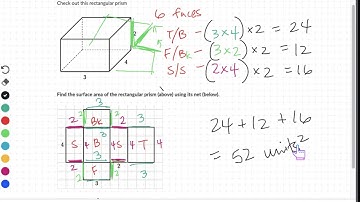 6th Grade Math: Finding Surface Area Using Nets