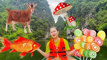 Changcady chèo thuyền trên sông, tham quan khu vườn nấm, chơi cùng cá vàng, con dê