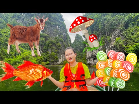 Video Changcady chèo thuyền trên sông, tham quan khu vườn... - youtube