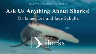 Ask Us Anything About Sharks! With Dr James Lea and Jade Schultz