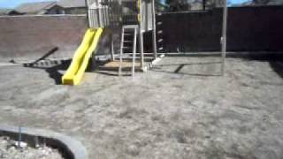 11197 Hickory Glen St  #1101651