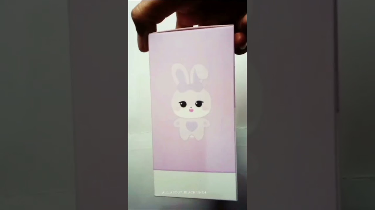 BLACKPINK - WORLD TOUR BORN PINK FINALE Official MD review 