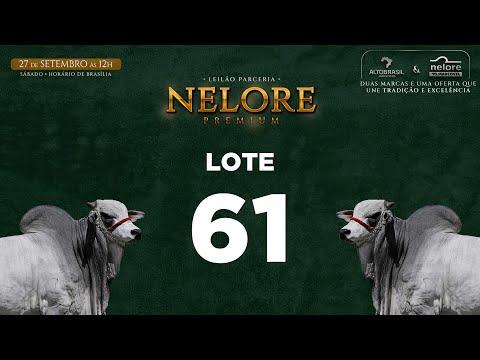 LOTE 61   MVEL 1958
