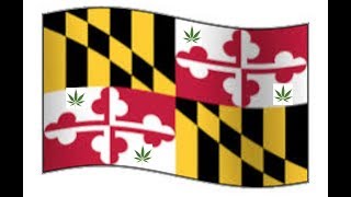 Medical marijuana sales in Maryland finally start after delays