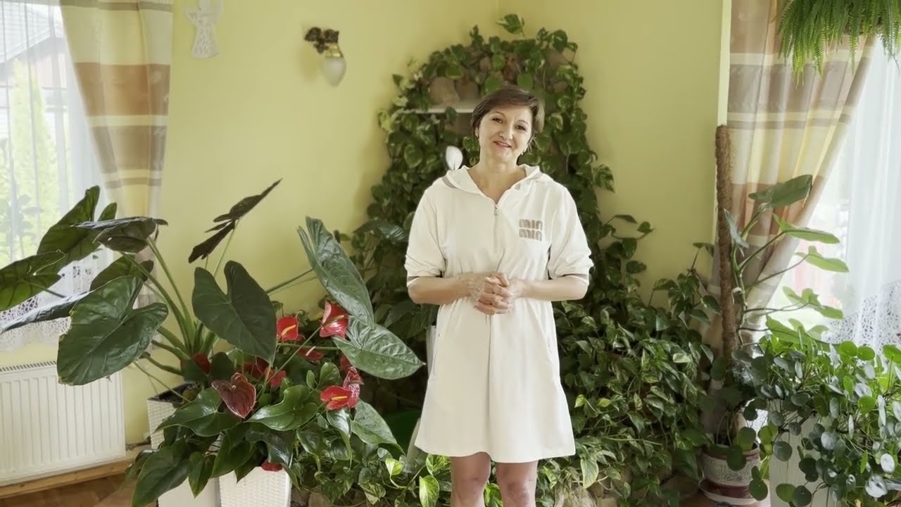 Ako objednať na mini lajfke