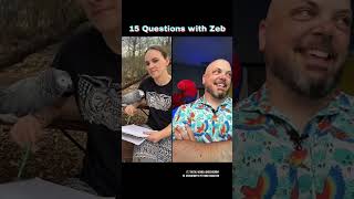 15 Questions with my friend Zeb