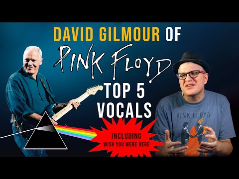 Story Behind David Gilmour of Pink Floyd's Best Vocal Performances | VOX | Professor of Rock