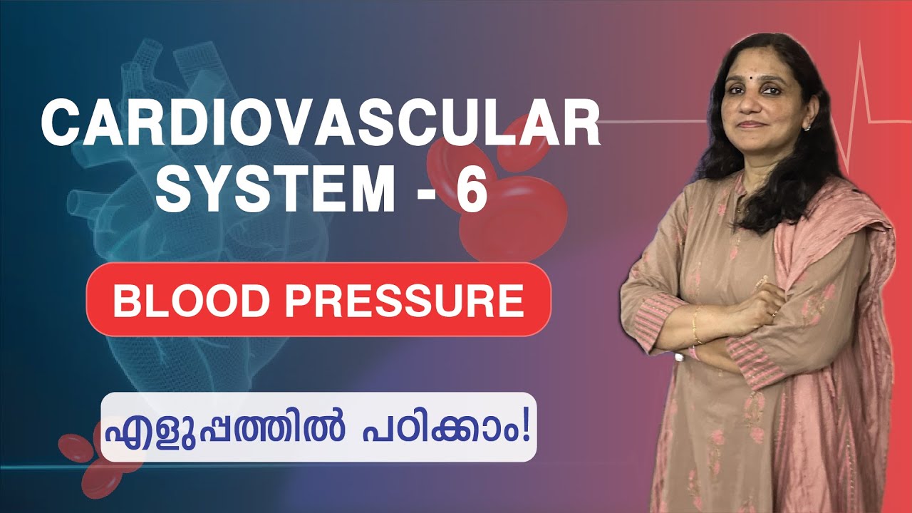 Cardiovascular System 6 Blood Pressure Malayalam YouTube