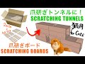 【DIY 猫用爪研ぎトンネル】製作動画 /【DIY SCRATCHING “TUNNELS” for CAT】Making video