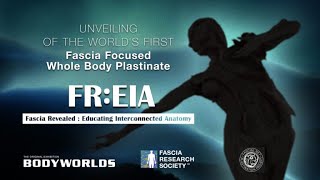 Unveiling of the World’s first 3-D Human Fascia Plastinate at the BODY WORLDS Museum in Berlin
