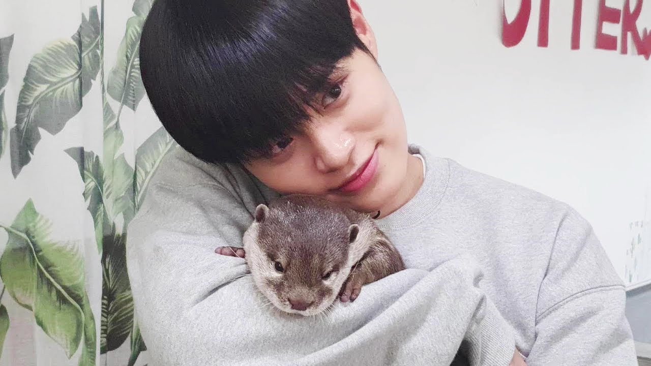 자기랑 똑같이 생긴 아이돌을 본 수달의 반응 | AB6IX 이대휘님 오신 날