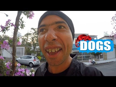 JACKSON FAIVE (MARCO LUQUE) -- DOGS