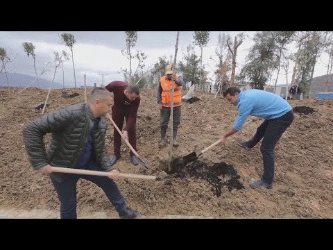 Video: Idetë e projektit të Pemës së Mirënjohjes: Si të bëni një pemë të mirënjohjes për fëmijë