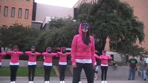 Sigma Lambda Gamma: UT Spring 2009 Probate [3 of 8]