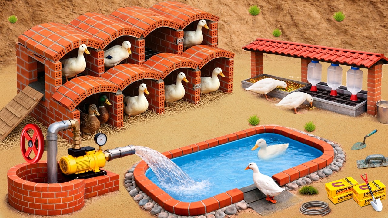 Diy Mini Tractor Builds Two-story duck coop with a Pool and an Automatic Water Pump System
