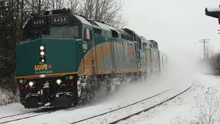 Snow Drift! CN Q101 &amp; VIA 2 at Gormley - February 03, 2026