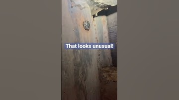 Finding an unusual Geocache under a bridge.