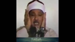 Qari Abdul basit surah at-teen *rare*