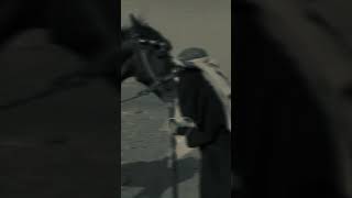 حالات واتس اب الخيل