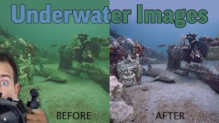 "Remove Water From Underwater Images" With Camera Settings