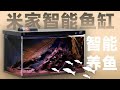 体验米家智能鱼缸，科技养鱼行不行？#測評#數碼#分享