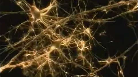 Visualisation - Mental Rehearsal