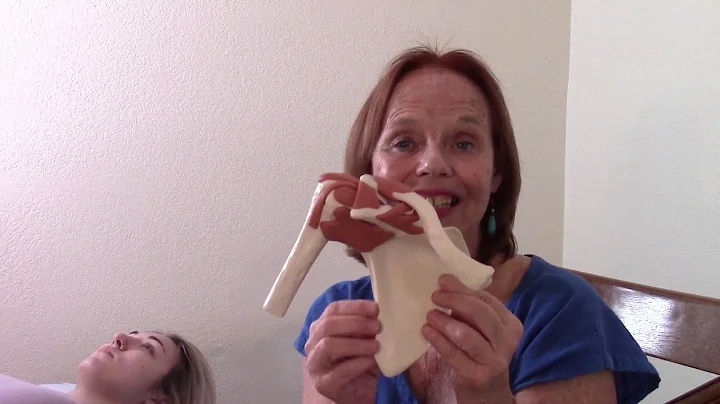 Subscapularis Palpation with Peggy Lamb/Massage Pu...