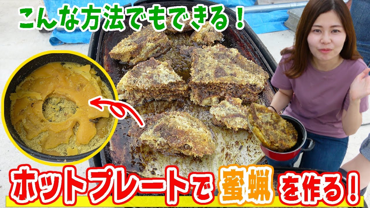 ニホンミツバチの蜜蝋 ミツロウ の作り方 精製方法 ニホンミツバチの蜜蝋 ミツロウ の作り方 精製方法
