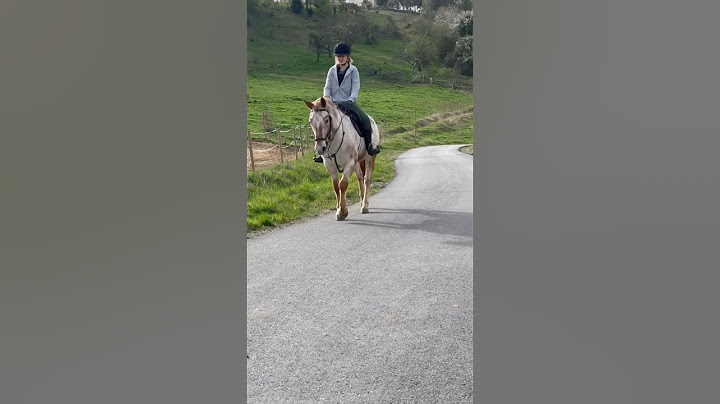 Viki reitet ganz ALLEINE aus 😱🏇 9/100 neue Dinge #ViktoriaSarina