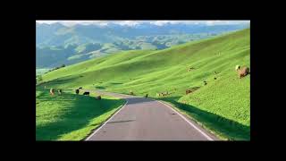 Surah At-Taghabun by the Libyan reciter Salah Al-Baji