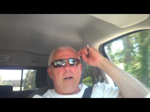 Video Best bait for wels catfish