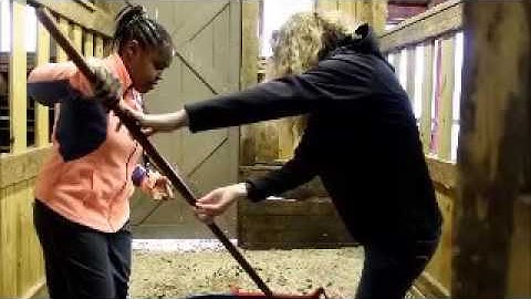 Bittersweet Recruitment Video