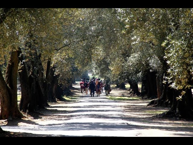 Il Sonno della Crisalide, workshop sul cammino lento