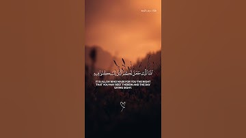 ﴿ وقال ربكم أدعوني أستجب لكم....﴾ 🌸 ياسر الدوسىري 🌸 تلاوة هادئة وخاشعة 🌸