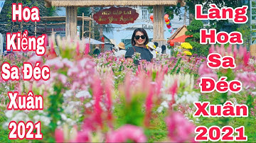 Làng hoa sa đéc xuân 2021 tại khu du lich hoa kiểng sa đéc | Khương Nhựt Minh