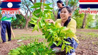 สาวลาว🇱🇦มาจับปลาชิวกับแม่ย่าครั้งแรกจะหมานบ่น้อ…