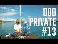 Download Lagu Dubdogz - DOGPRIVATE #13 (Veleiro Delta Yacht Charter, Angra dos Reis - RJ) Insomniac Residency
