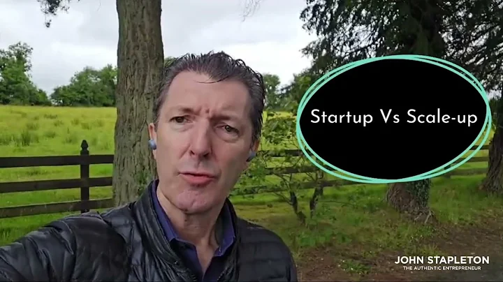 Startup Vs Scale Up