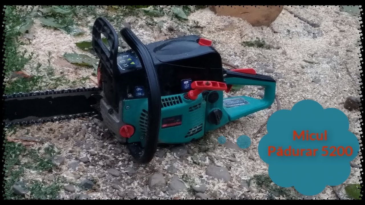 Drujba MICUL PĂDURAR 5200 ~ Tăiere lemne de fag pentru iarnă partea I-a