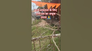 कार्य सफलता के लिए शमी पत्र का अचूक उपाय 🔱🔱🔱#pandit_pradeep_ji_mishra #shivmahapurankatha