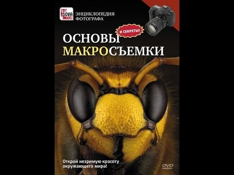 ОСНОВЫ МАКРОСЪЕМКИ. Пошаговое руководство начинающего фотографа.