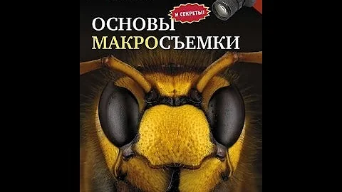 ОСНОВЫ МАКРОСЪЕМКИ. Пошаговое руководство начинающего фотографа.