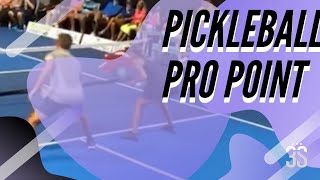 Pro Pickleball Point: Breakdown