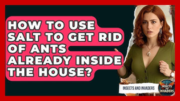 How To Use Salt To Get Rid Of Ants Already Inside The House? - Insects and Invaders