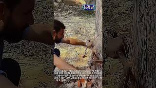 지렛대 원리를 활용한 수제 잭 나무 기둥 제거 노하우 #animals #nature #tree #diy #tools