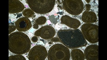 ESG 11 Oolitic limestone XPL rotate