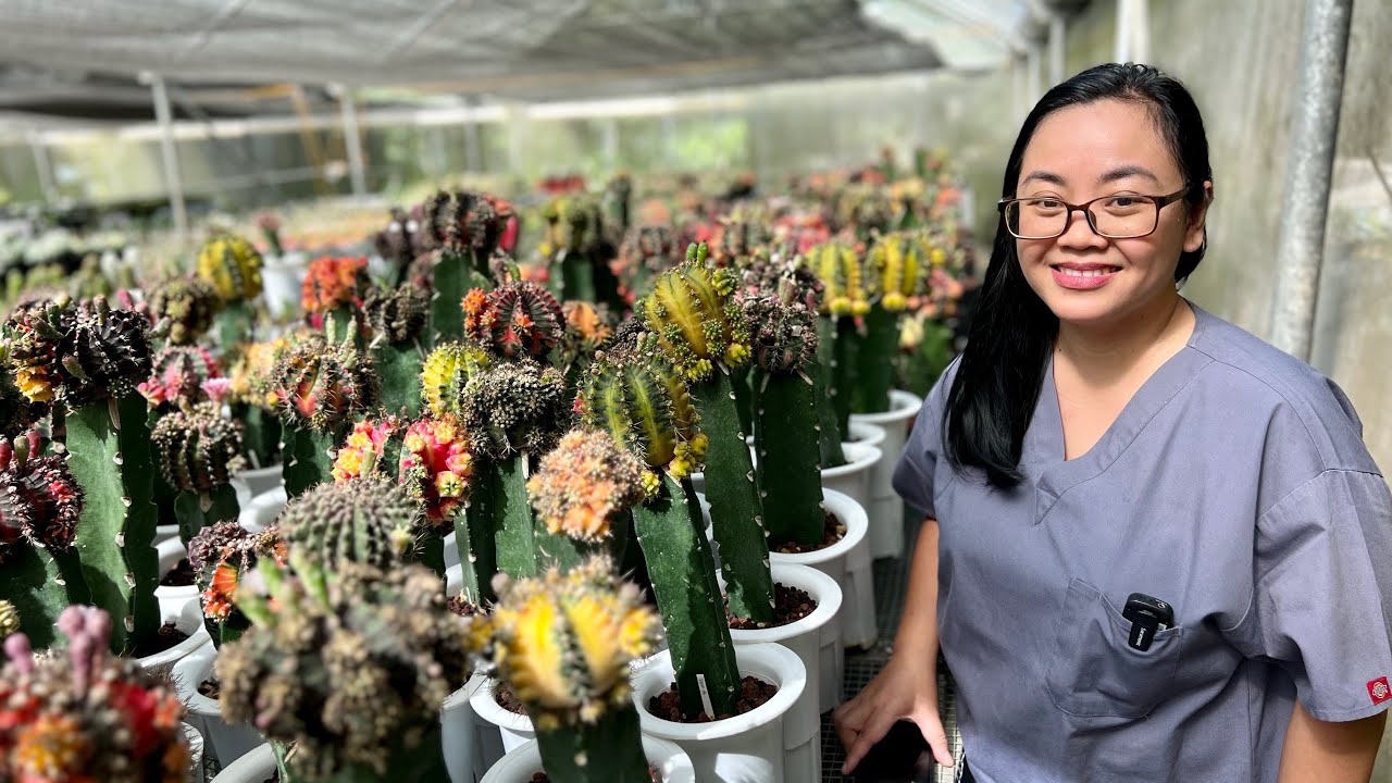 From hobby to pinaka malaki, pinaka magagandang collection ng cacti and succulent plants